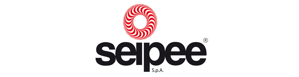 Spin partner Seipee